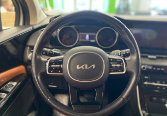 Подержанный автомобиль Kia Carnival 2023 года (15 фото)
