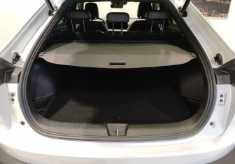 Новый Haval F7x 2025 (9 фото)