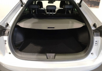 Новый Haval F7x 2025 (9 фото)